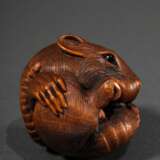 Großes Buchsbaum Netsuke "Gekugelte Ratte" mit schönem Gesichtsausdruck in feinster Schnitzarbeit, eingelegte Augen aus schwarzem Horn, versteckt gearbeitete natürliche Himotoshi, Anfang 20.Jh., Ø 4cm, Provenie… - фото 2