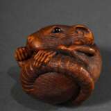 Großes Buchsbaum Netsuke "Gekugelte Ratte" mit schönem Gesichtsausdruck in feinster Schnitzarbeit, eingelegte Augen aus schwarzem Horn, versteckt gearbeitete natürliche Himotoshi, Anfang 20.Jh., Ø 4cm, Provenie… - фото 4