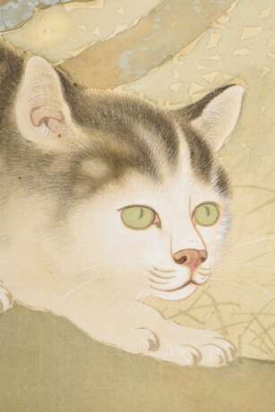 Japanisches Rollbild "Katze unter Päonienbusch", farbige Tusche auf Seide, Inschrift, Siegel, Brokatmontierung, Beinknäufe, Kiriholz-Kasten, beschriftet, um 1900, 134x51cm - Foto 11