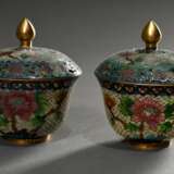 3 Diverse Teile Transluzid Cloisonné oder Emaille Vitraille mit polychromen Blütendekoren, China um 1900: Teller (Ø 24cm) und Paar Deckelkoppchen (H. 9cm) auf passenden Stands - photo 3