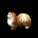 Japanese Chin dog figurine. 20th century - Foto 2