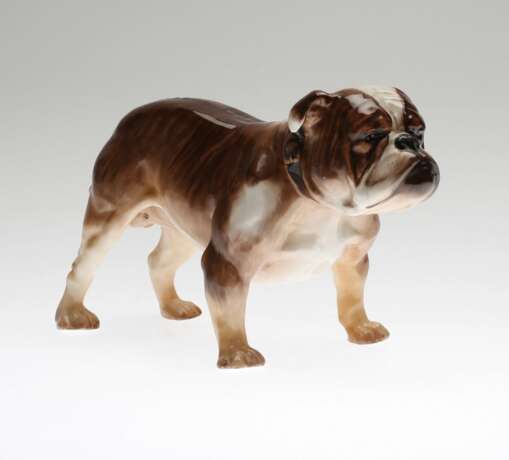 Bulldog. Royal Doulton - фото 1