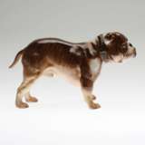 Bulldog. Royal Doulton - фото 2