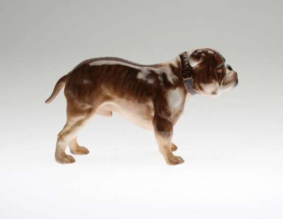 Bulldog. Royal Doulton - Foto 2