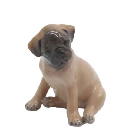 Royal Copenhagen. Pug Puppy. 1955 year. - Foto 1