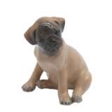 Royal Copenhagen. Pug Puppy. 1955 year. - Foto 1