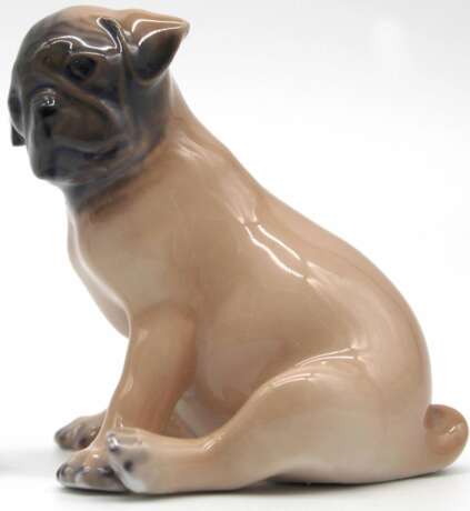 Royal Copenhagen. Pug Puppy. 1955 year. - Foto 3