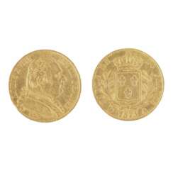 Gold coin 20 francs 1815.