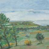 Berger, Willi (1922-? Hiddensee) "Der Blick nach Süden-Hiddensee Großer Inselblick", Öl/ Hartfaser, sign. u.r. und dat. 2013, rückseitig mit WVZ-Nr. 56/13 und betitelt, 38,5x48,5 cm Rahmen - Foto 1