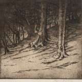 Paulsen, Ingwer (1883 Ellerbeck-1943 Halebüll) "Dünenwald", Radierung, 33x33 cm, hinter Glas und Rahmen - Foto 1