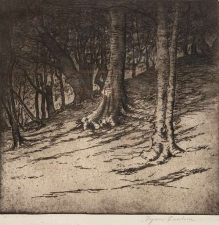 Paulsen, Ingwer (1883 Ellerbeck-1943 Halebüll) "Dünenwald", Radierung, 33x33 cm, hinter Glas und Rahmen - Foto 1