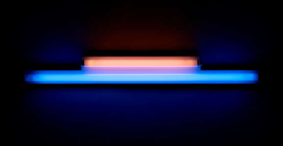 DAN FLAVIN (1933-1996) - photo 1