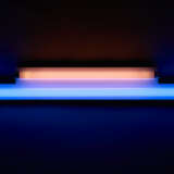 DAN FLAVIN (1933-1996) - photo 1