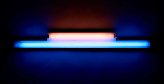 DAN FLAVIN (1933-1996) - photo 3