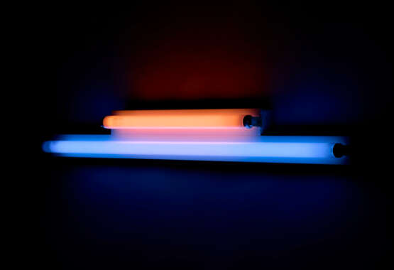 DAN FLAVIN (1933-1996) - Foto 4