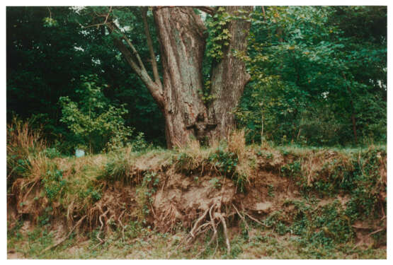 ANA MENDIETA (1948-1985) - Foto 5