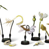 A GROUP OF FOUR GERMAN DIDACTIC BOTANICAL MODELS - photo 2