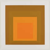 Josef Albers.SP (Homage to the Square) - photo 17