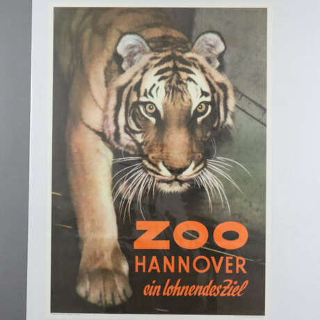 Zoo-Reklameplakat - "Zoo Hannover ein lohnendes Zi - photo 5