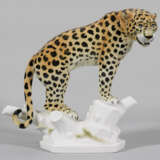 Stehender Leopard - Foto 1