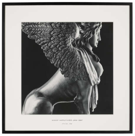 ROBERT MAPPLETHORPE (1946-1989) - photo 2