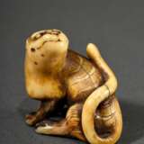 Kleines Elfenbein Netsuke "Sich sitzend umschauender Tiger" in Rensai Art, eingelegte Horn Augen, schöne bernsteinfarbene Patina, 2. Hälfte 19.Jh., H. 3,1cm, 2 rest. Beine, Provenienz: Norddeutsche Sammlung, Ge… - Foto 1