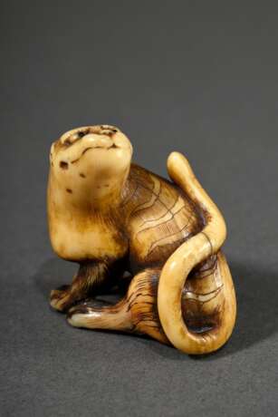 Kleines Elfenbein Netsuke "Sich sitzend umschauender Tiger" in Rensai Art, eingelegte Horn Augen, schöne bernsteinfarbene Patina, 2. Hälfte 19.Jh., H. 3,1cm, 2 rest. Beine, Provenienz: Norddeutsche Sammlung, Ge… - Foto 1