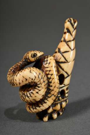 Hirschhorn Netsuke "Bambusspross mit Schlange", 19.Jh., H. 5,8cm, Provenienz: Norddeutsche Sammlung - photo 1