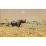 Wilhelm Kuhnert. Rhinoceros in the Steppe - photo 1