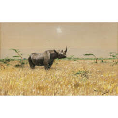 Wilhelm Kuhnert. Rhinoceros in the Steppe