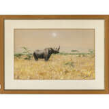 Wilhelm Kuhnert. Rhinoceros in the Steppe - photo 2