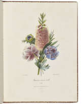REDOUTÉ, Pierre-Joseph (1759-1840)