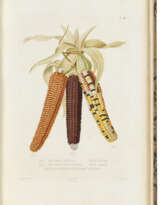 BONAFOUS, Matthieu (1793-1852)