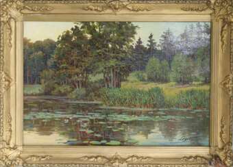 River landscape with water lilies