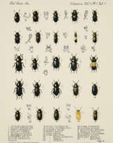 George Brecht. Untitled (dedicated to Johannes Theodor Baargeld)