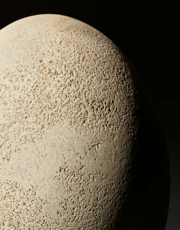 A Large Elephant Bird Egg - фото 5