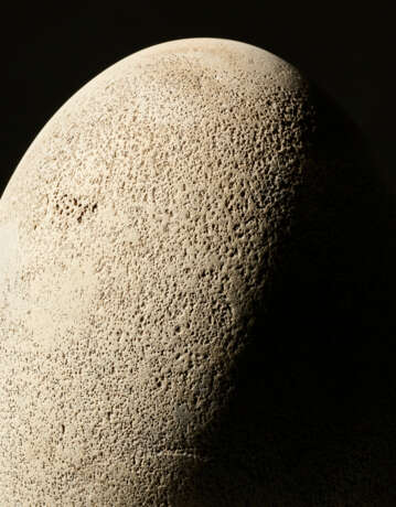 A Large Elephant Bird Egg - фото 6