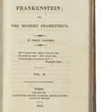 Frankenstein: an exquisite first edition - фото 3