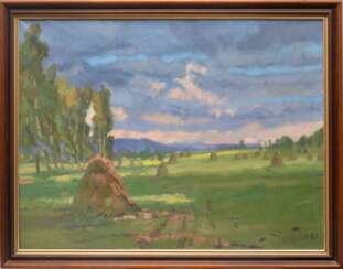 Summer landscape (Old Koknese Valley)