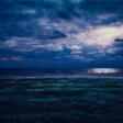 Thomas Wrede. Strandwiese bei Nacht - Now at the auction