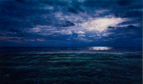 Thomas Wrede. Strandwiese bei Nacht - photo 1