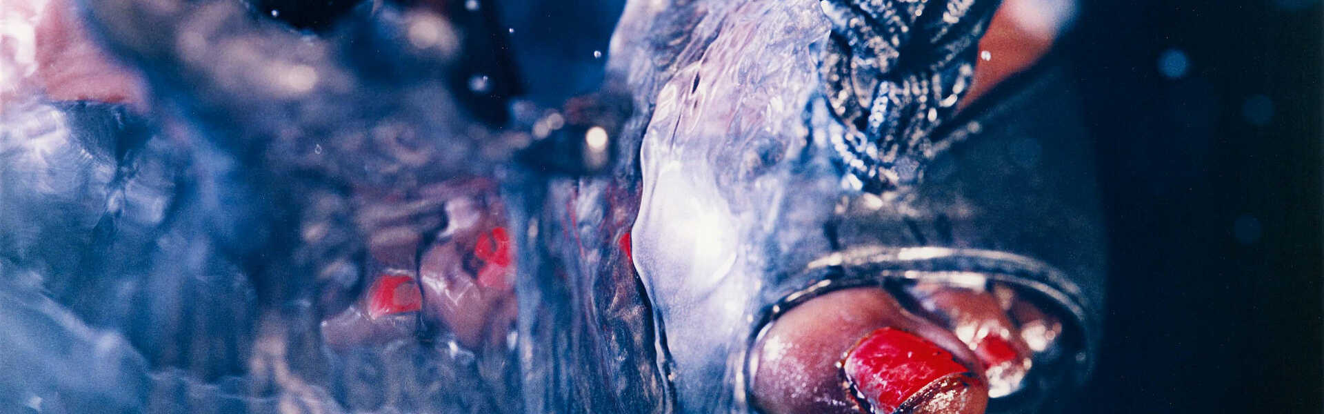 Marilyn Minter. Swell