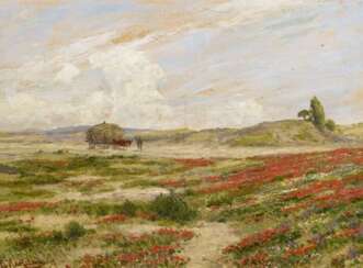 Feld mit Klatschmohn und Bauern bei der Heuernte