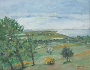 Berger, Willi (1922-? Hiddensee) &amp;quot;Der Blick nach Süden-Hiddensee Großer Inselblick&amp;quot;, Öl/ Hartfaser, sign. u.r. und dat. 2013, rückseitig mit WVZ-Nr. 56/13 und betitelt, 38,5x48,5 cm Rahmen