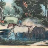 "Horses watering", englischer kolorierter Stich, 25x30,5 cm, hinter Glas im Passepartout und Rahmen - photo 1