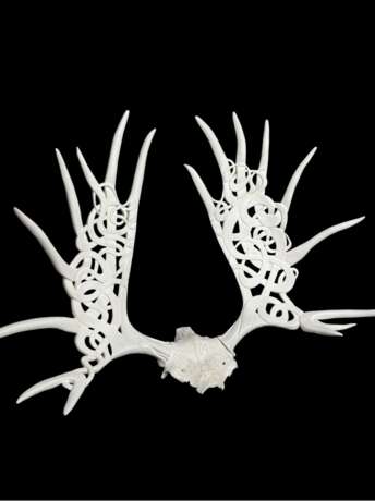 Moose antlers "northern lights" Horns and Bones Margarita Kazantseva moose antlers Bone carving Russia 2024 - photo 1