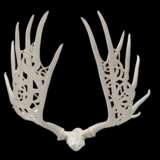 Moose antlers "northern lights" Horns and Bones Margarita Kazantseva moose antlers Bone carving Russia 2024 - photo 2