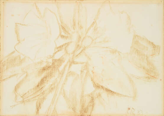 Christian Rohlfs. Untitled (Große Blüte) - photo 1