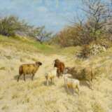 Schafe im Frühling in den Dünen bei Ahrenshoop - photo 2