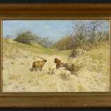 Schafe im Frühling in den Dünen bei Ahrenshoop - photo 3